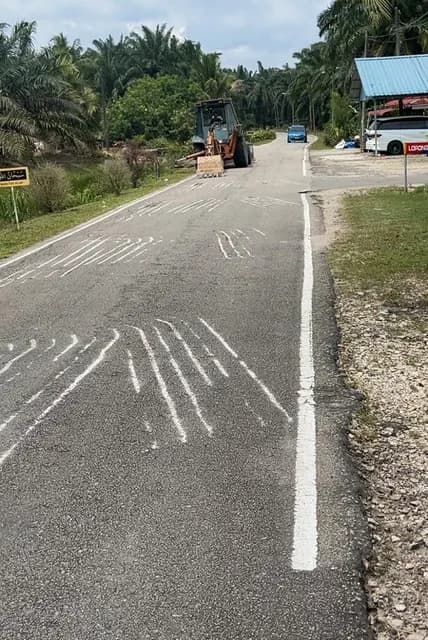 Village road and surrounding roadside.