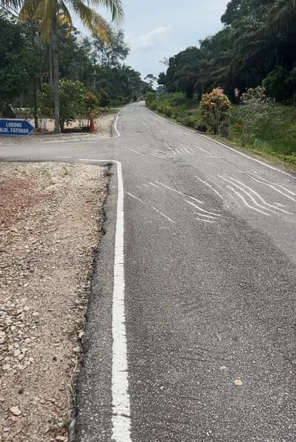 Road surface viewed along the village road.