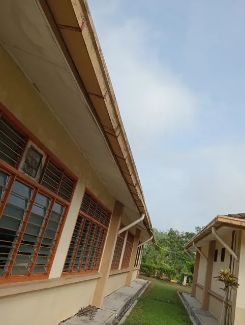 Eaves and roof-drainage detail.