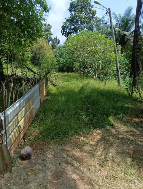 Site area at Jalan En Mohamad.