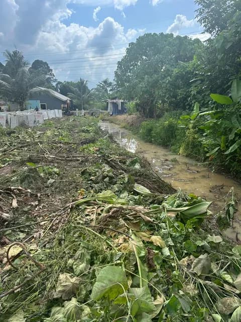 Site-clearing work beside the drainage route.