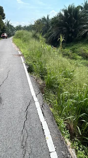Existing road edge beside the riverbank.