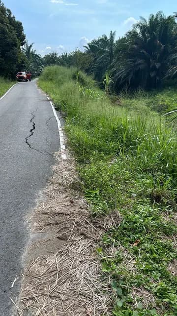 Cracked road edge beside the riverbank.